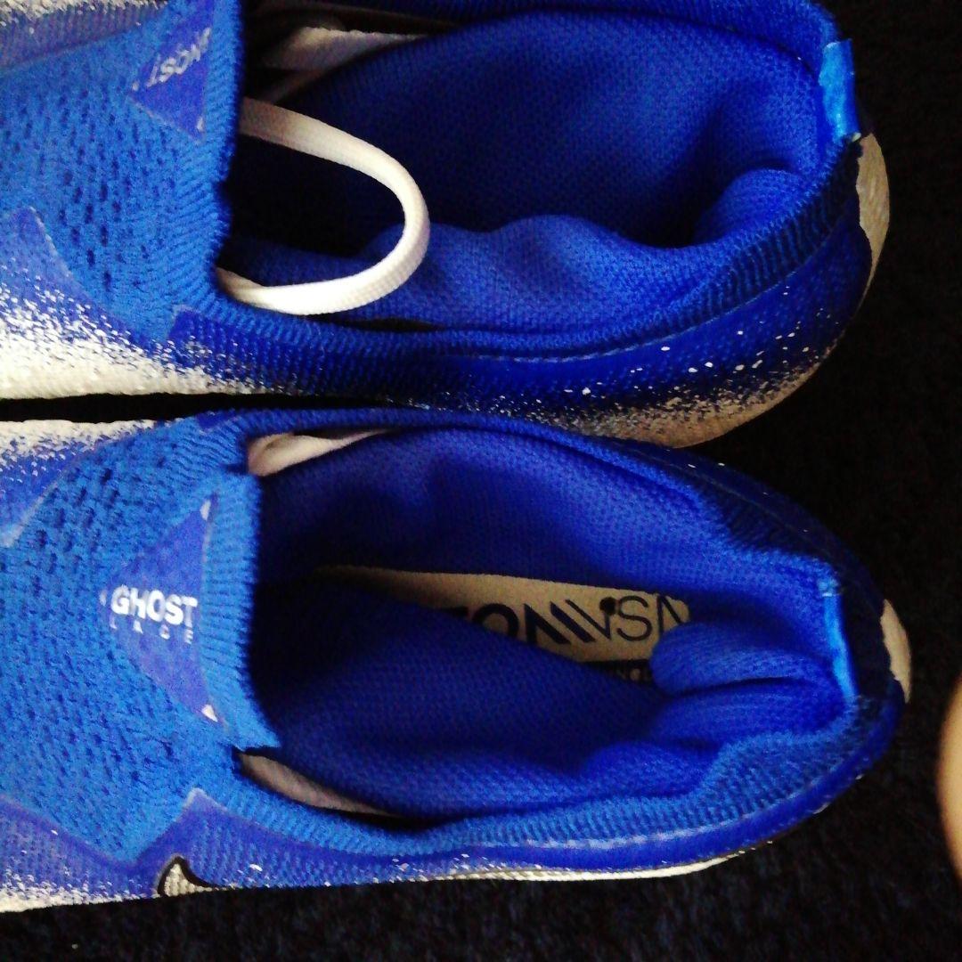 ファントムビジョン