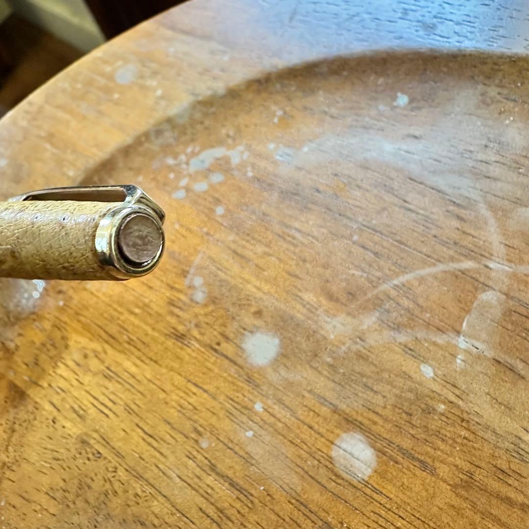 sailor セーラー　万年筆　オーストリッチ　茶　ペン先　18k ①