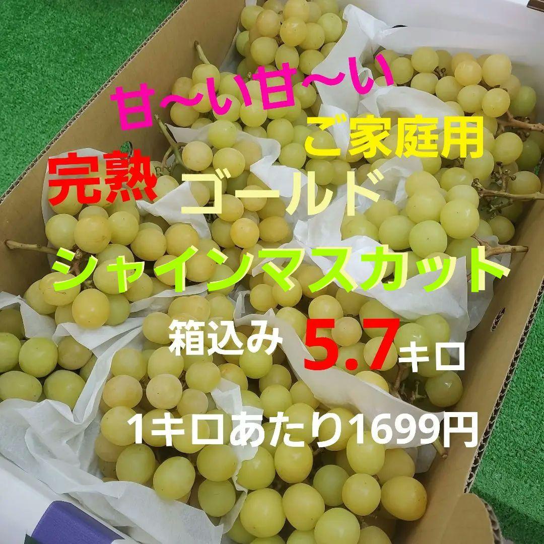 8️⃣ 山梨県産 シャインマスカット １１房入り 箱込み5.7キロ