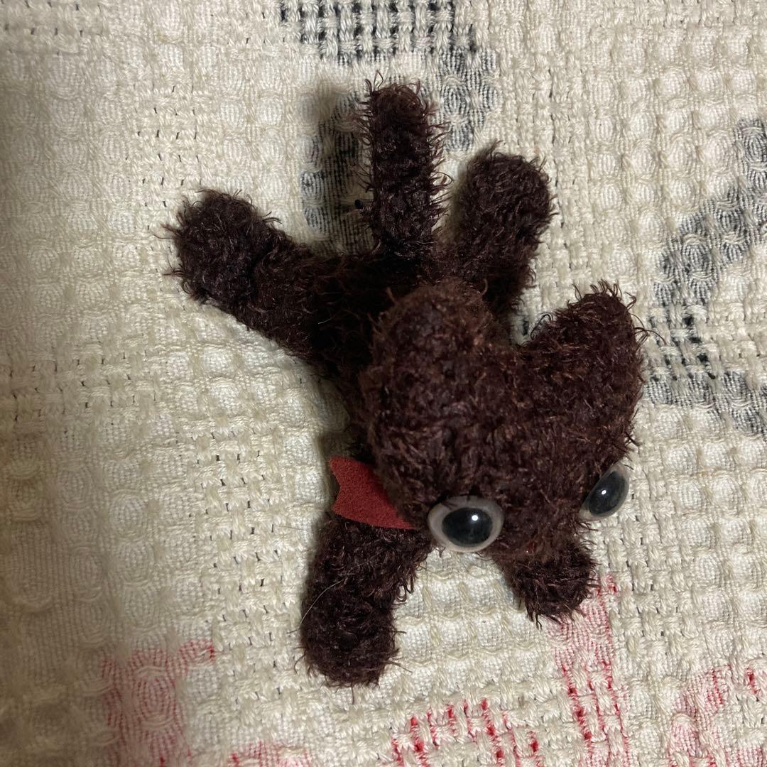 CAT,CAT,CAT! マリーメゾンドミュー　猫　ぬいぐるみ　5コセット