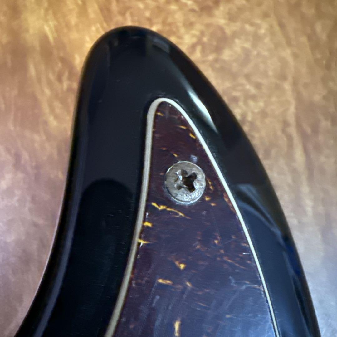 Bacchus エレキベース　5弦　WL-534