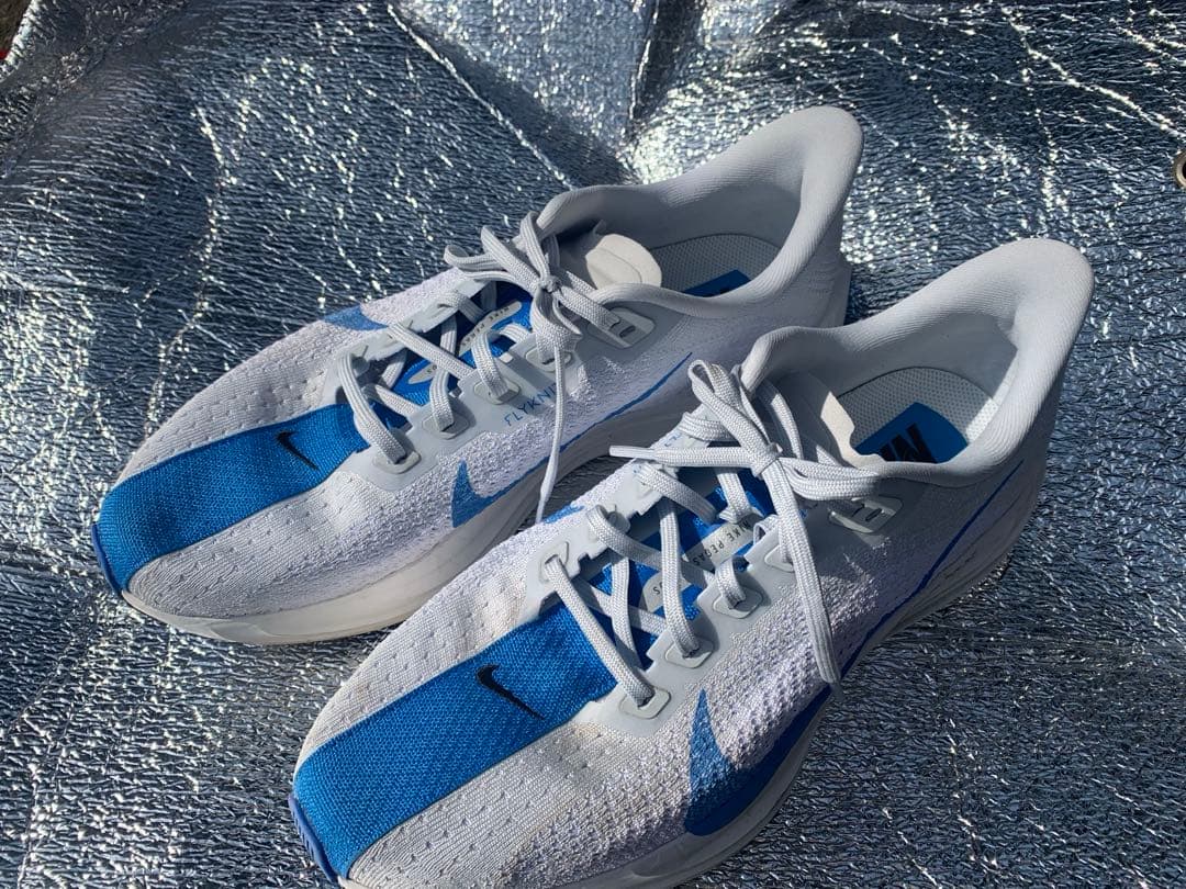 ペガサスプラス　27.5cm (着用2度、6km走)