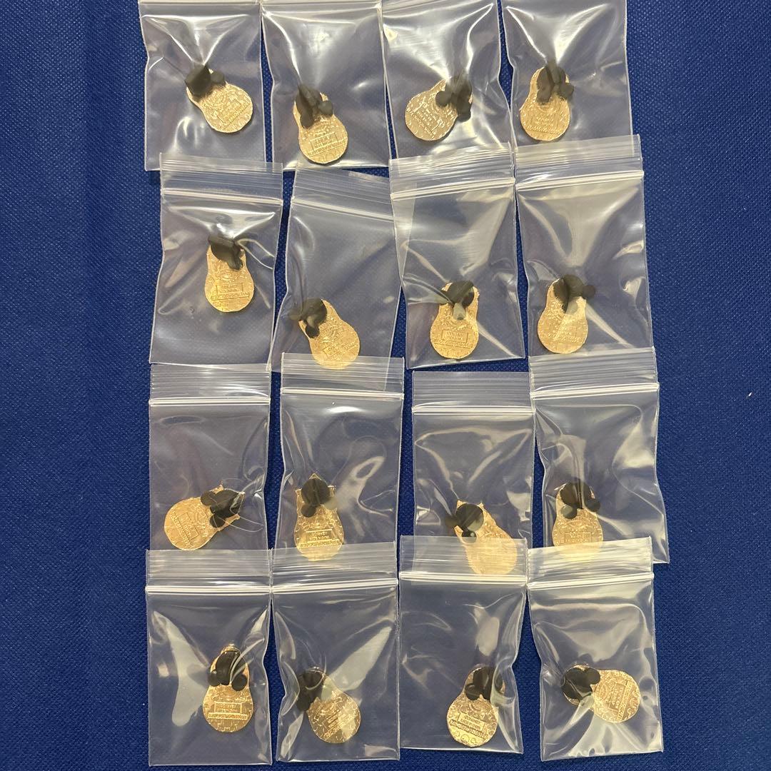 ディズニー　ピンバッチ　プリンセス　マトリョシカ　ハワイ　アウラニ ディズニー