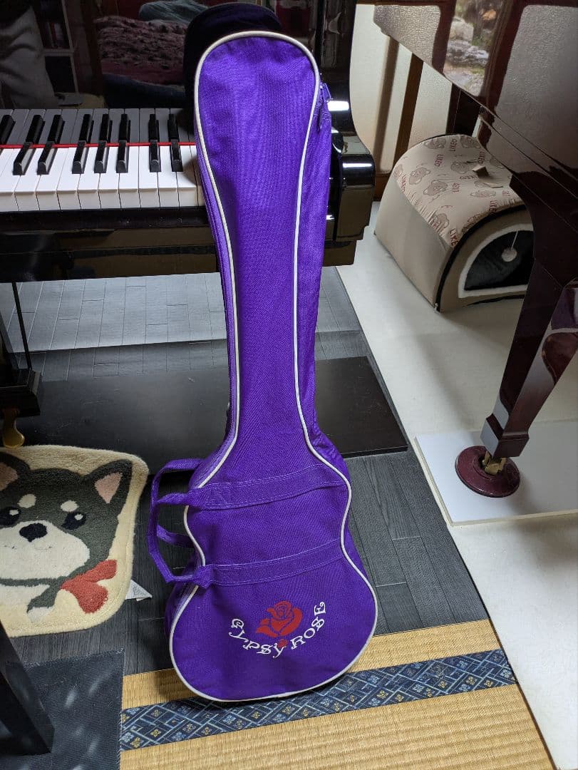 希少　ジプシーローズ　レスポール　 エレキギター　 パープル ラメ入り　激レア