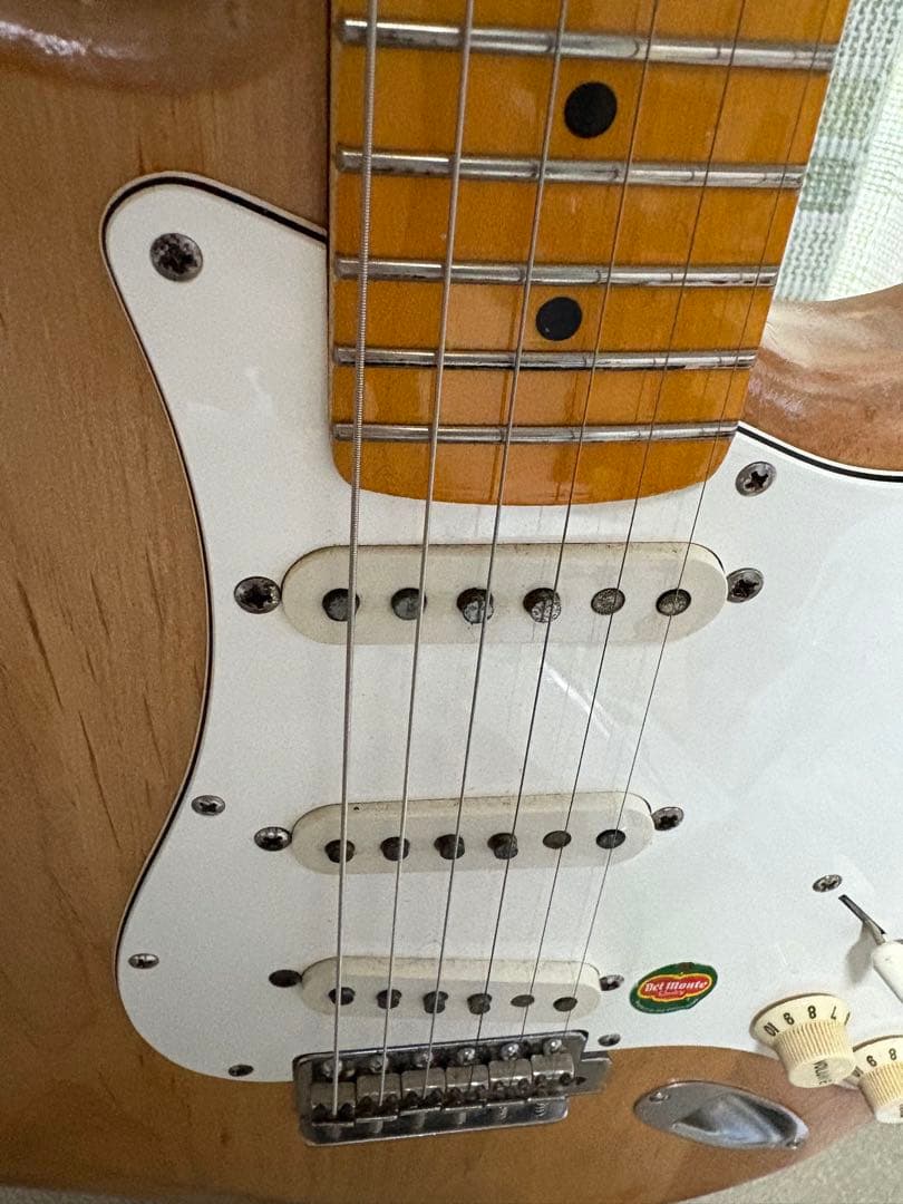 現状渡し 自作 リバースネック ストラトキャスタータイプ