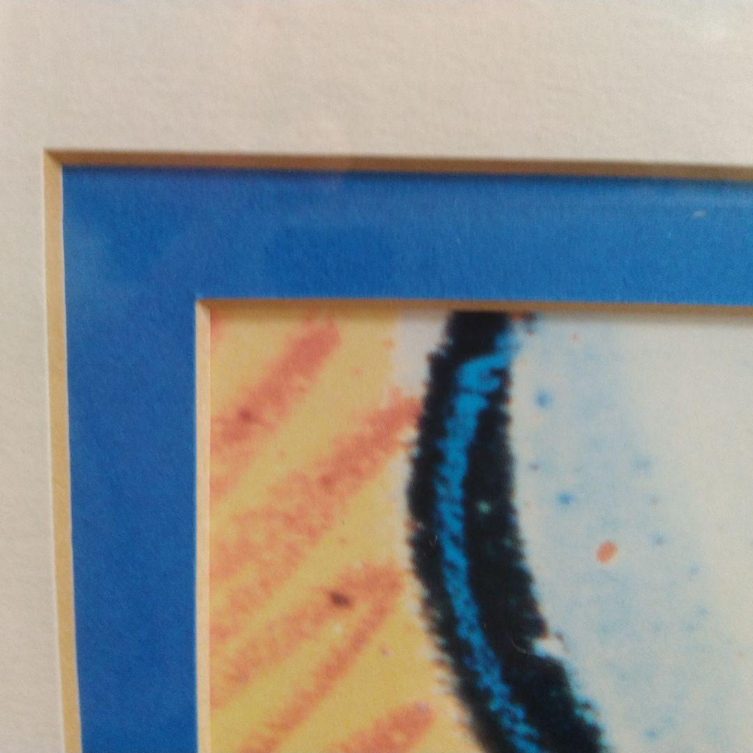 ディズニー系列ホテルで使用されていた額縁入ドナルドダックポスター【鑑定書付】