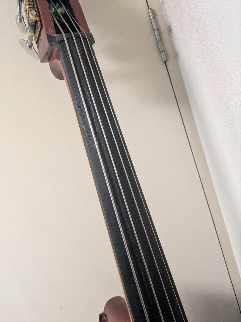 コントラバス　カルロジョルダーノ　SB100