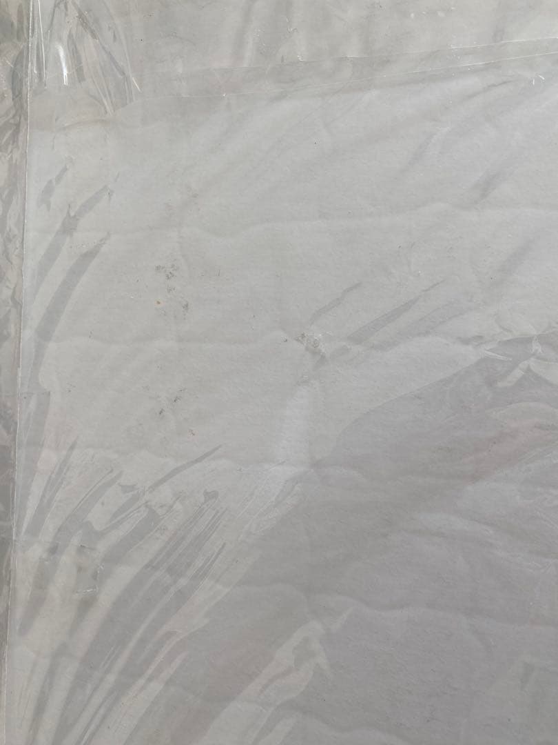 パズル内容確認用