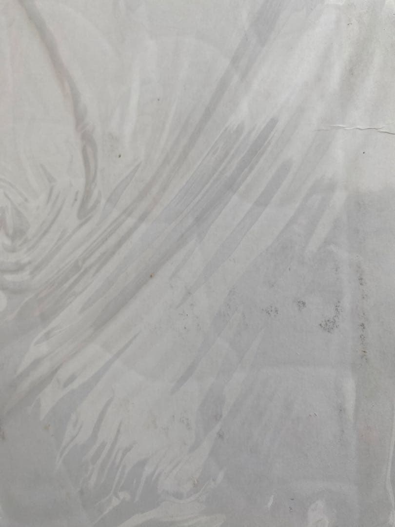 パズル内容確認用