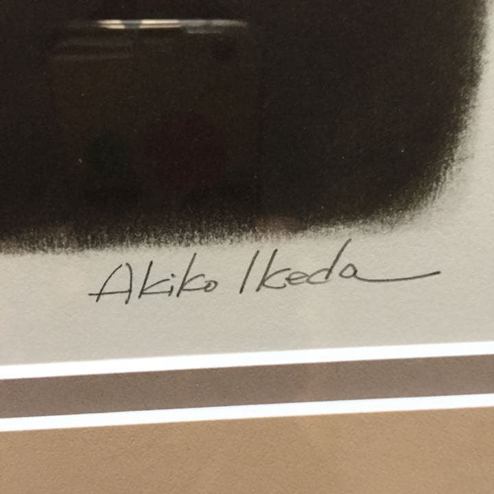 ダヤン ジグレー版画