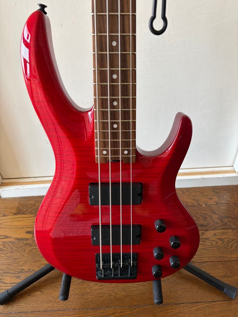 Roselia 今井リサモデル