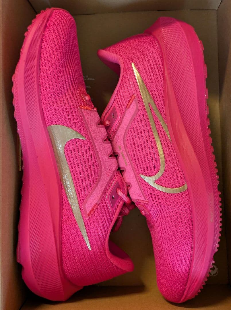 27㎝ ナイキ エア ズーム ペガサス 40 DV3854-601 ウィメンズ