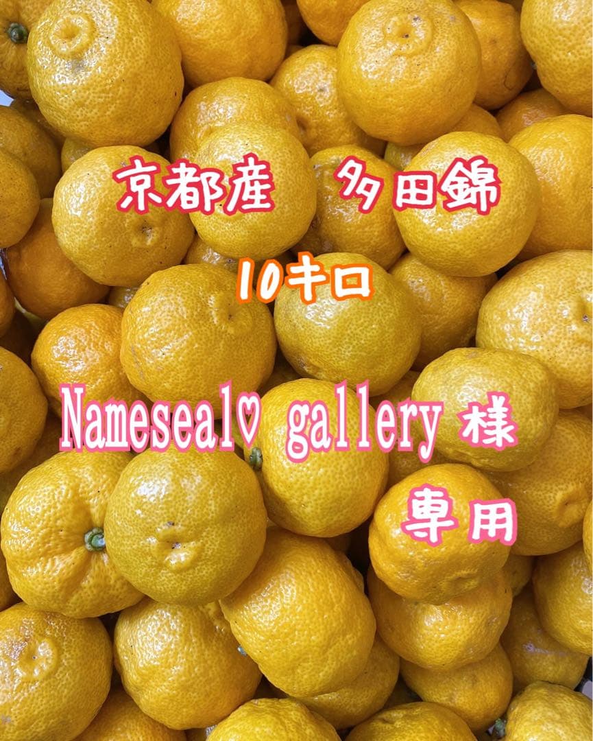 種なし柚子【多田錦】 稀少 京都産 10kg 農薬不使用