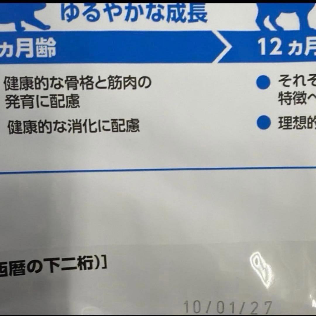 ロイヤルカナン 室内で生活する成猫用 インドア 4kg×4個
