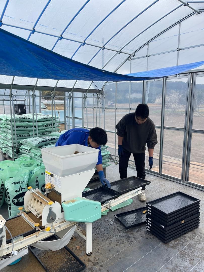 令和7年千葉県いすみ市産コシヒカリ　白米　10キロ　#天皇献上米