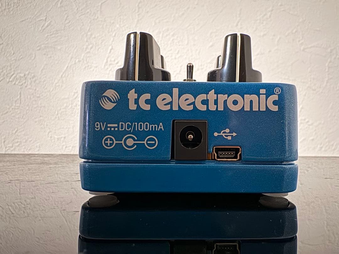 ギター tc electronic FLASHBACK Delay and Looper