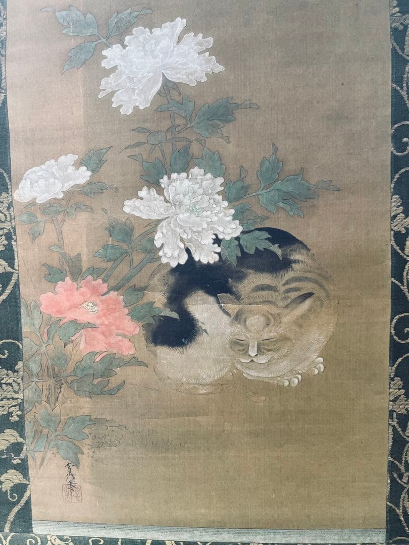 掛け軸　狩野常信 猫圖