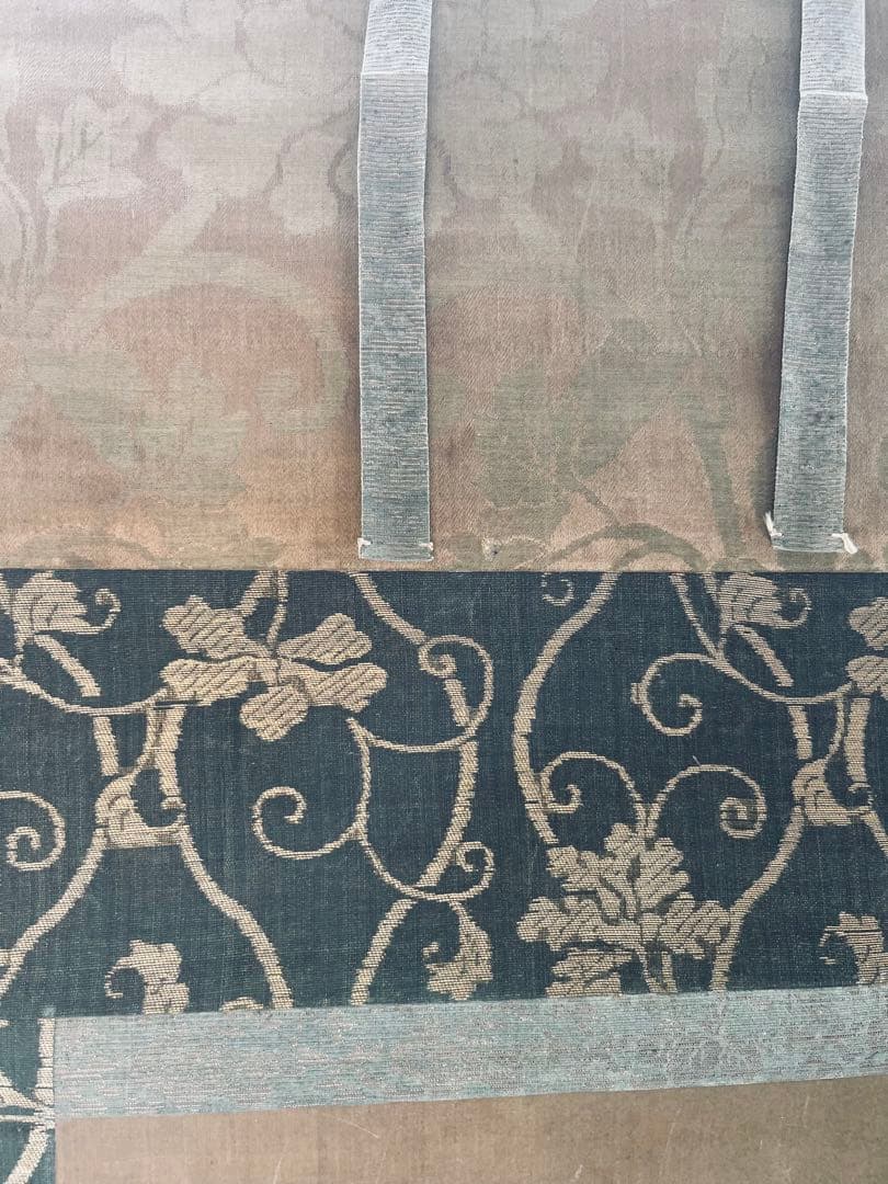 掛け軸　狩野常信 猫圖