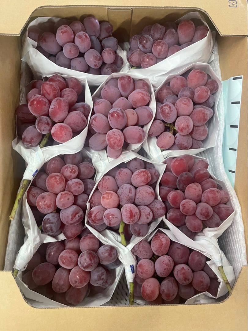 ⑤ 【岡山県産】富士の輝　10房 約5キロ