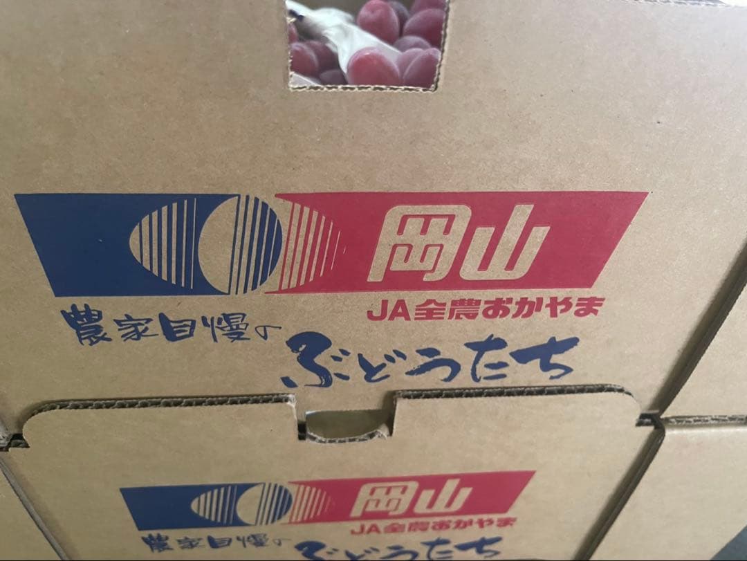 ⑤ 【岡山県産】富士の輝　10房 約5キロ