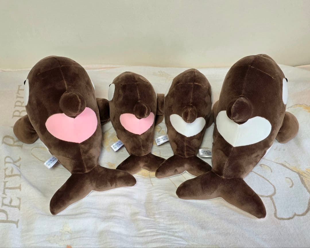 【圧縮なし・カレンダー付】須磨シーワールド オルカくじ バレンタイン限定 全種類