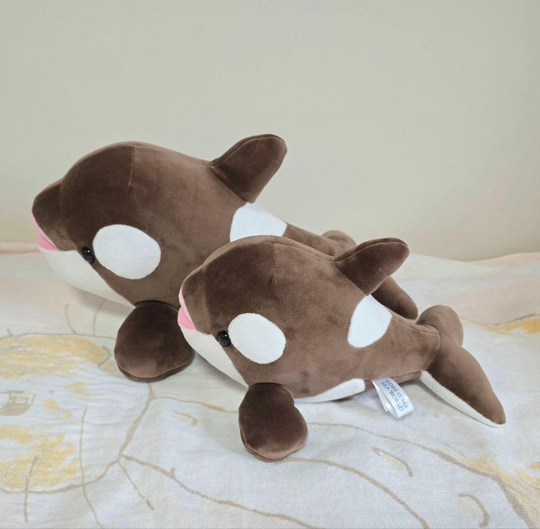 【圧縮なし・カレンダー付】須磨シーワールド オルカくじ バレンタイン限定 全種類