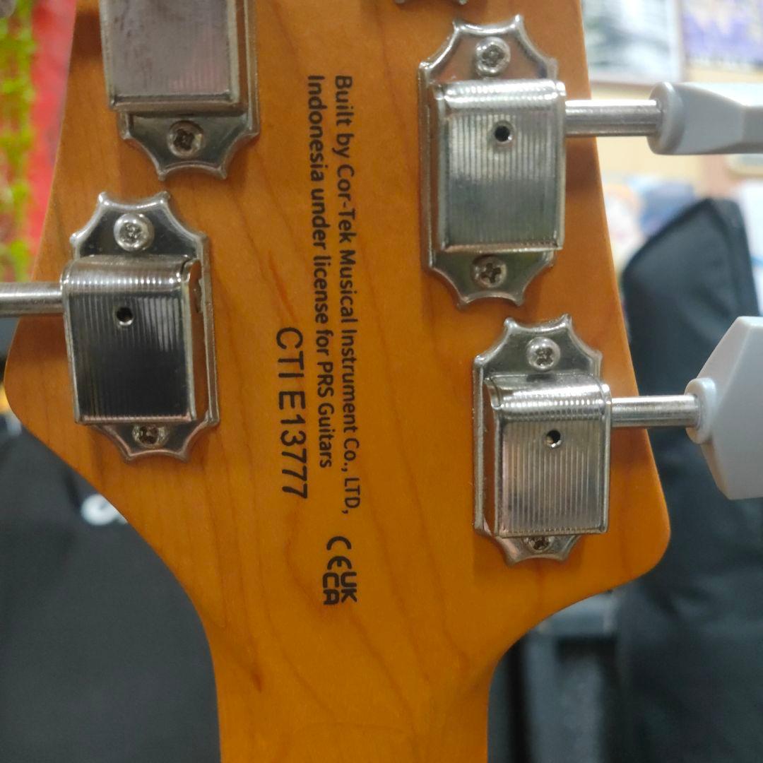 【値下げ！】ポールリードスミス SE Silver Sky Evergreen