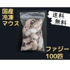 国産冷凍マウス ファジー 100匹 (送料無料一部地域発送不可)