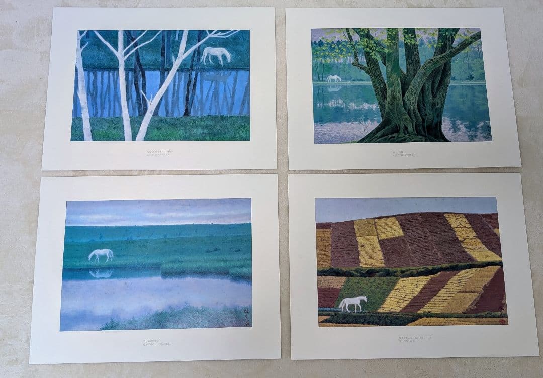 東山魁夷 作品集 『白馬幻想』日本経済新聞社 1990年