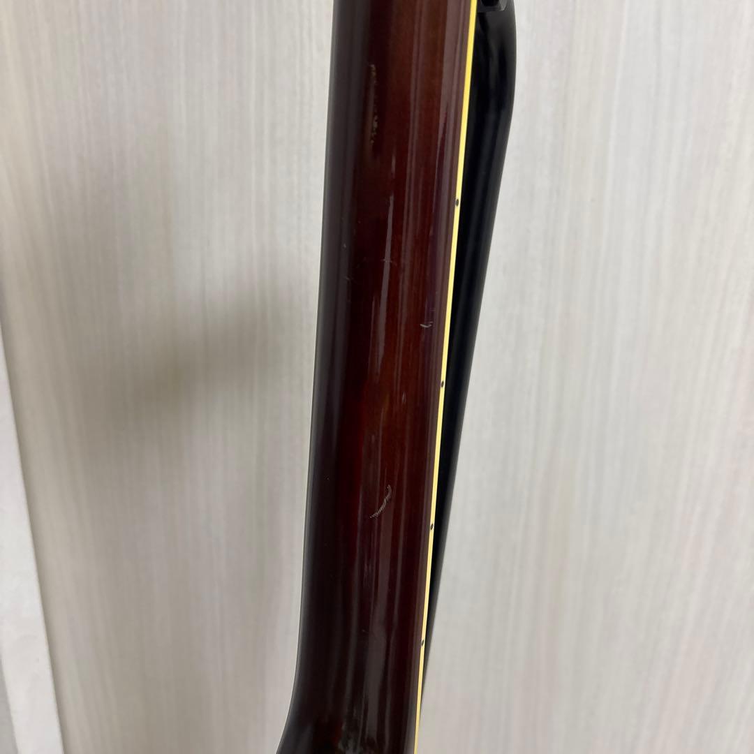 専用　Landscape ar1 ハードケース付き　フルアコ