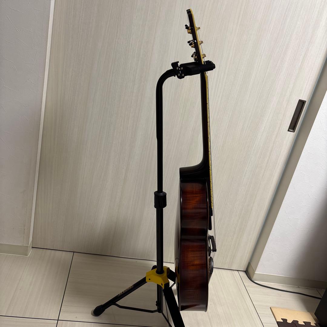 専用　Landscape ar1 ハードケース付き　フルアコ