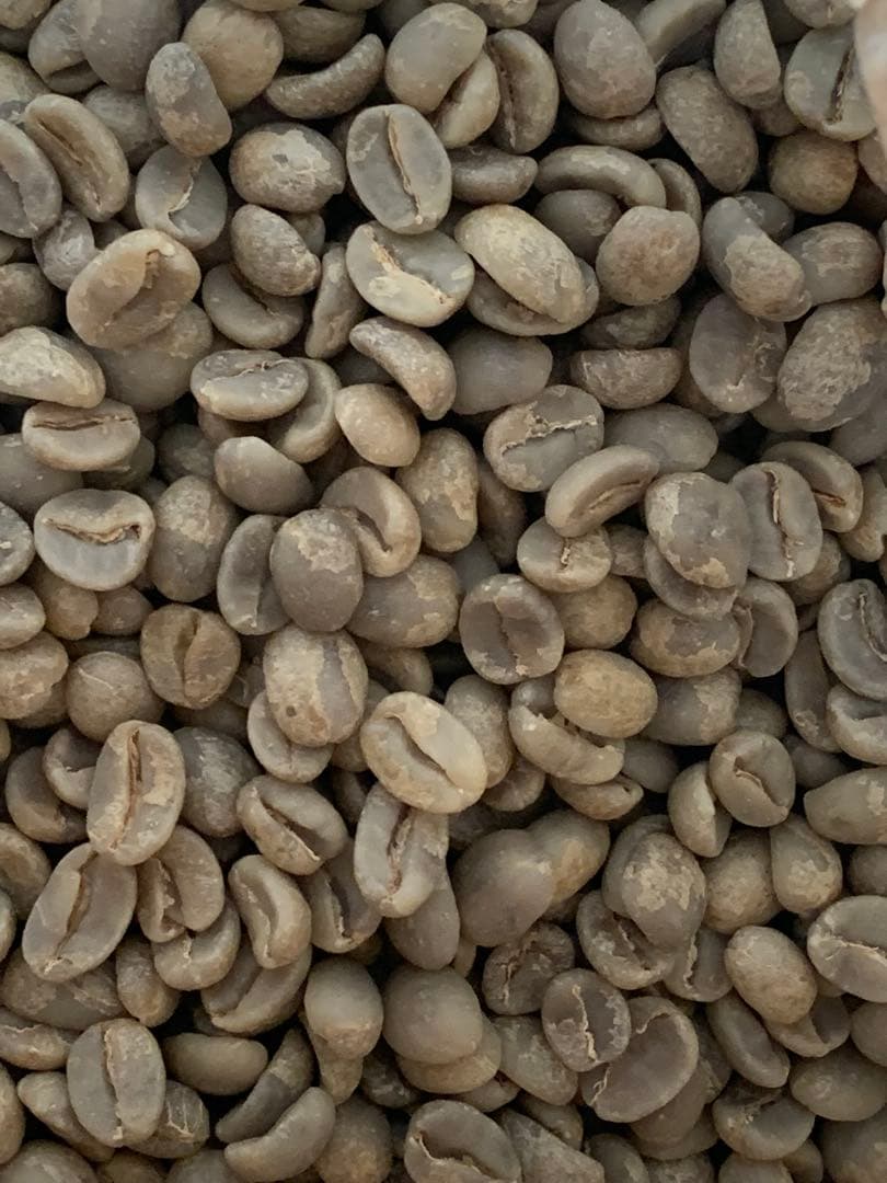 コーヒー生豆　約3. 6Kg ハンドピック済み