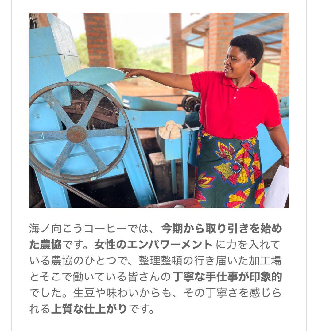 コーヒー生豆　約3. 6Kg ハンドピック済み