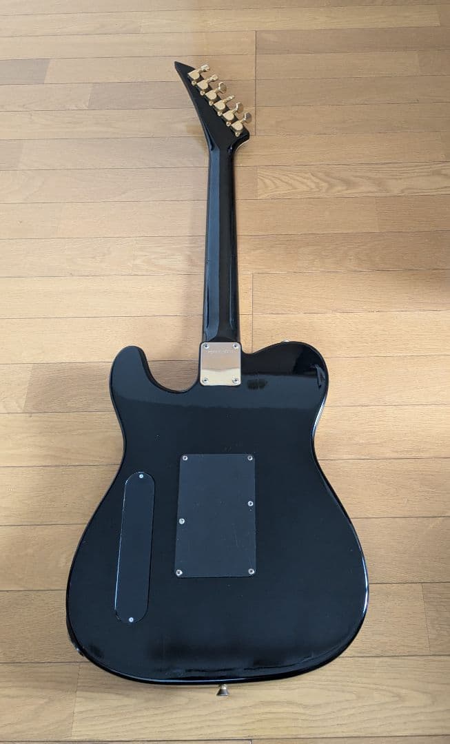 FERNANDES TEJ-55G フェルナンデス エレキギター ブラック