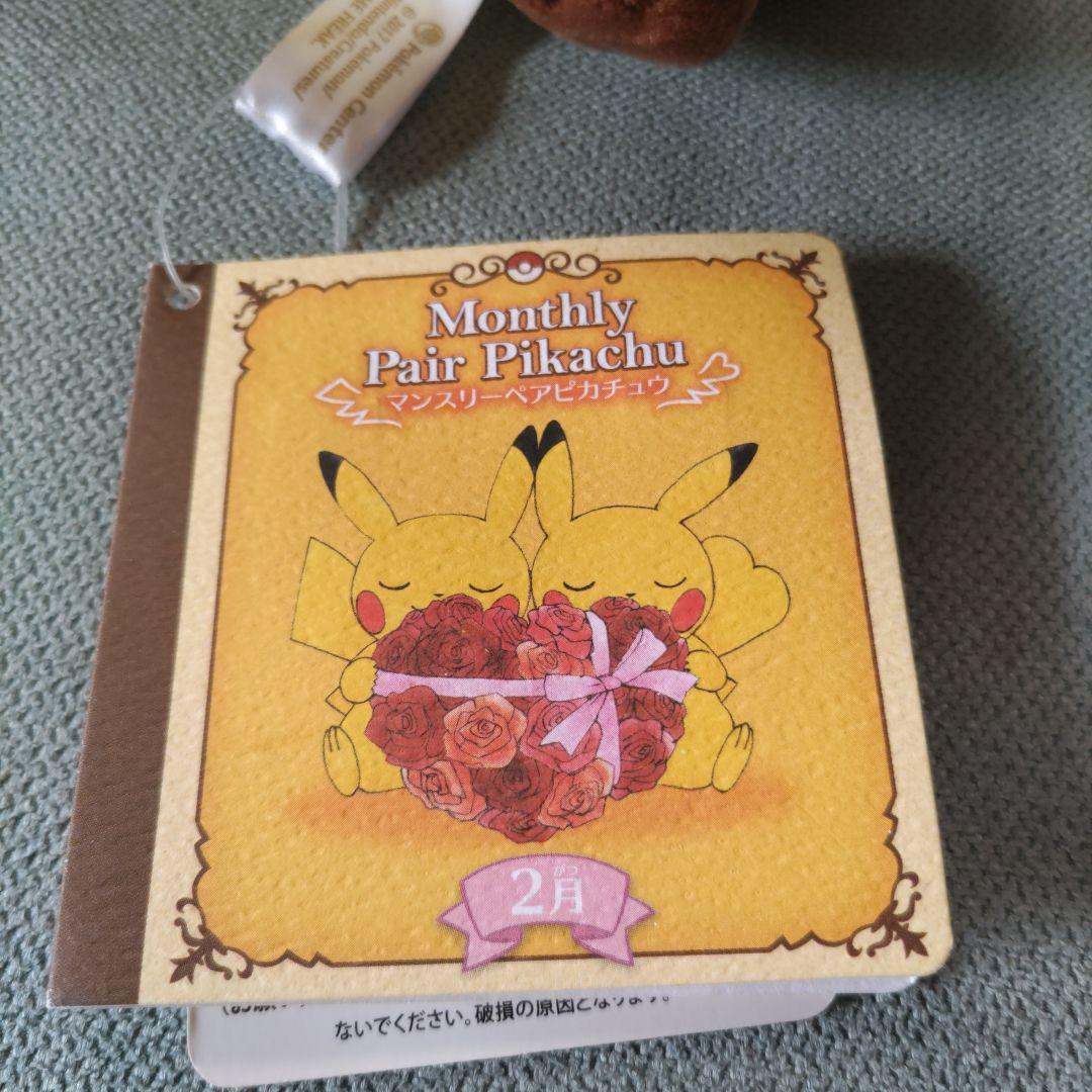 ポケモンセンター　マンスリーペアピカチュウ（２月）