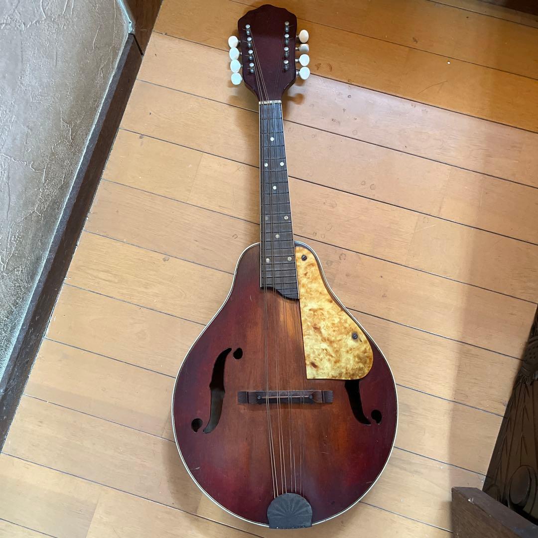 マンドリン　USA