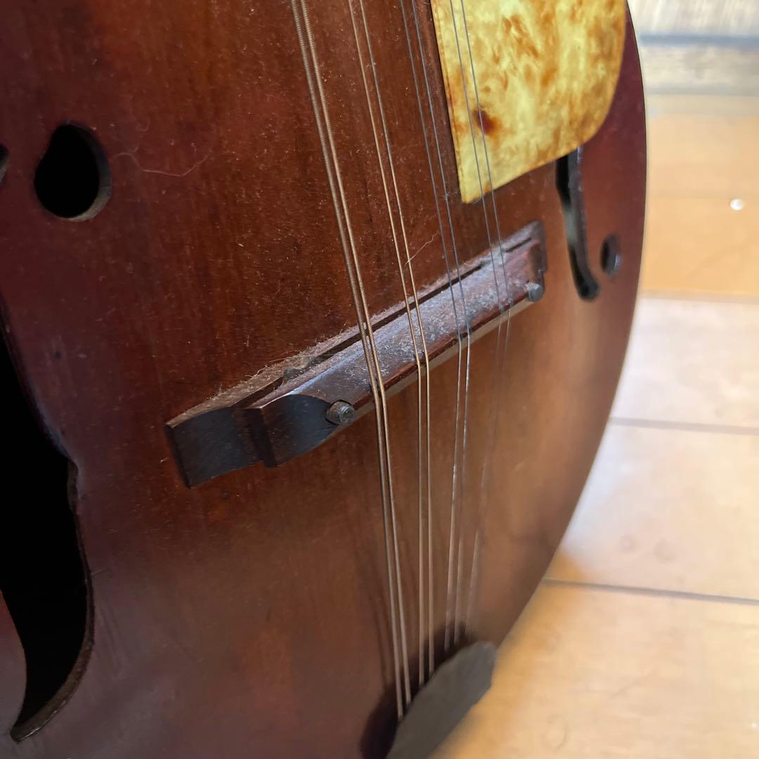 マンドリン　USA