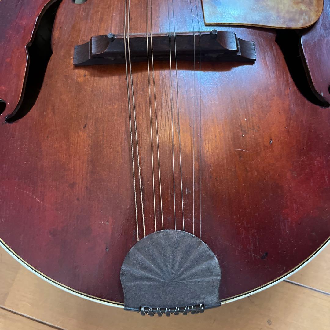 マンドリン　USA