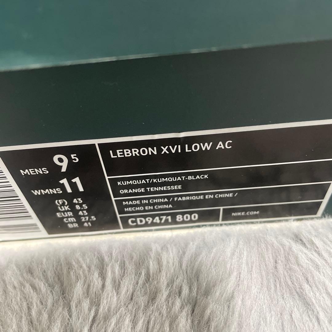 Nike Lebron XVI Low レブロン16ロー【年末年始のみ】