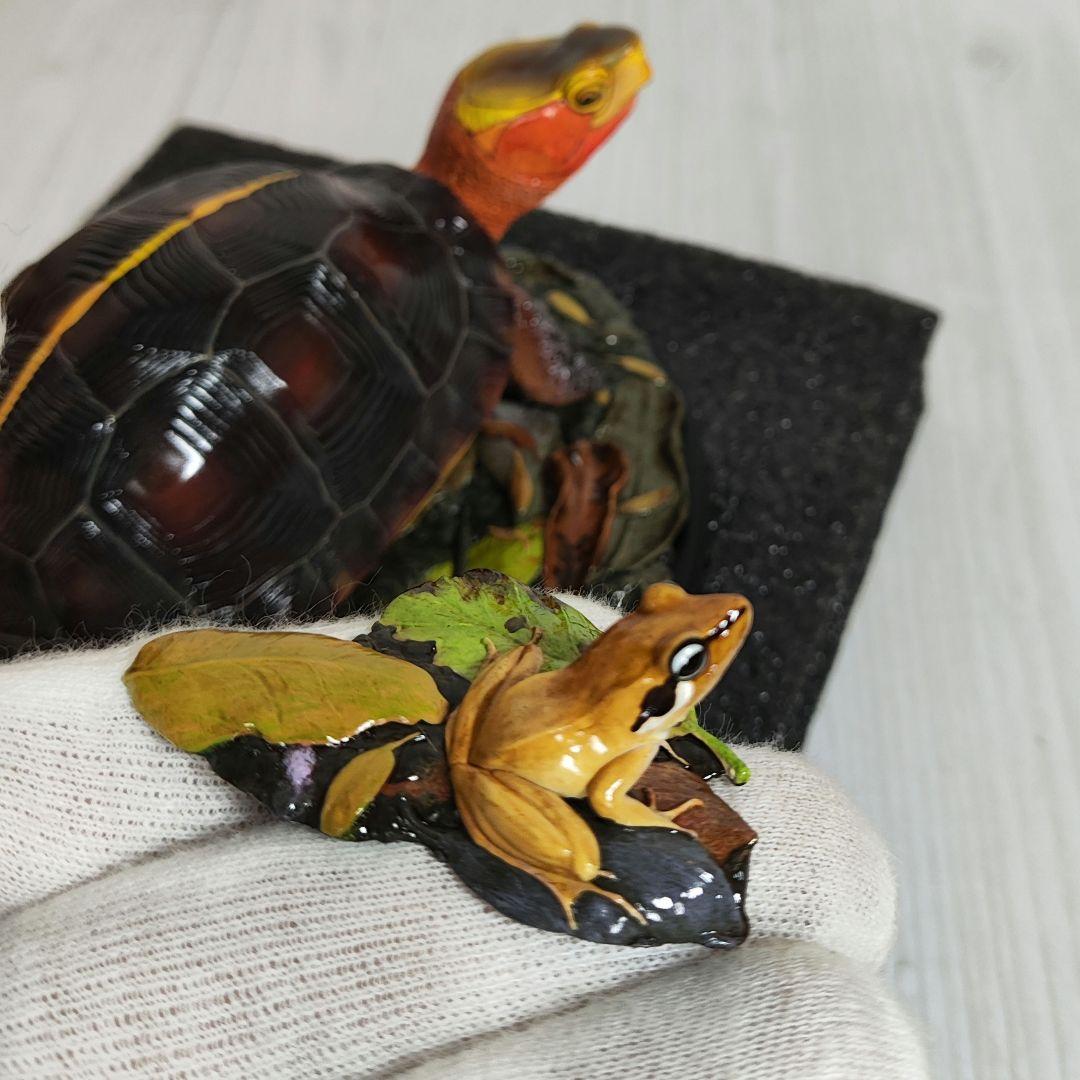 【動物の惑星】★セマルハコガメ★写実シリーズ.自然界第4弾!! フィギュア