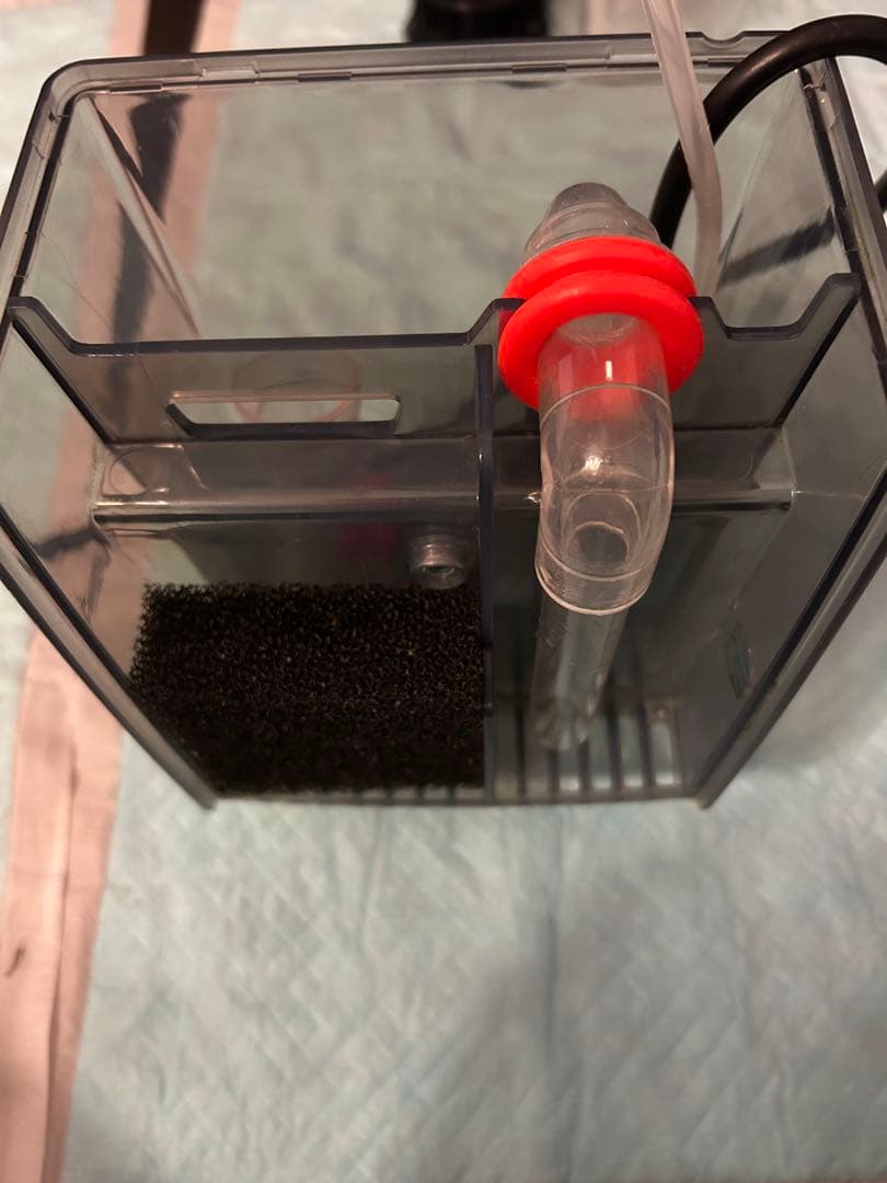 ZENSUI QQ1 プロテインスキマー