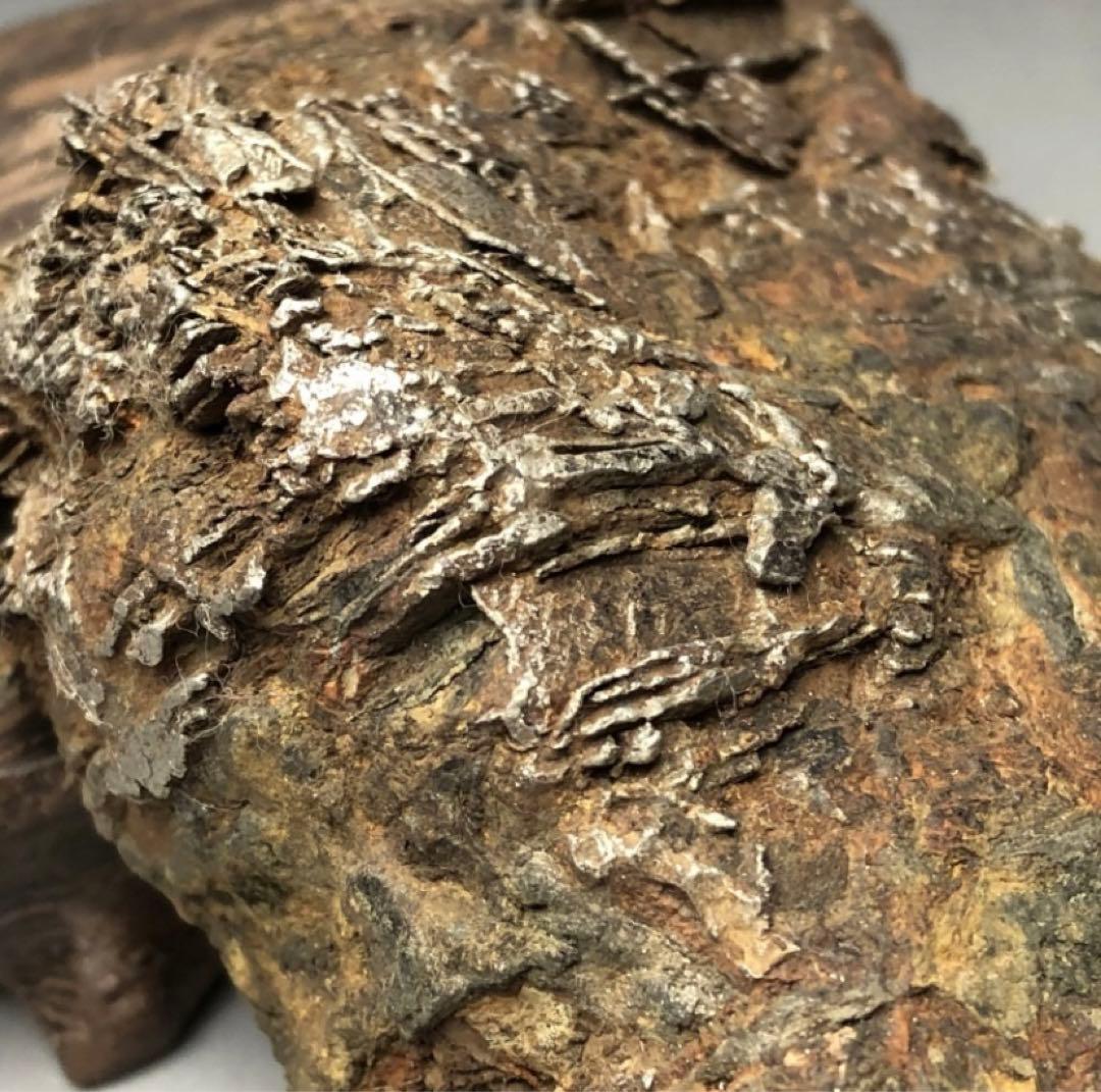 アルタイ鉄隕石　ずっしり重い約625g！　新疆　パワーストーン　パラサイト　化石