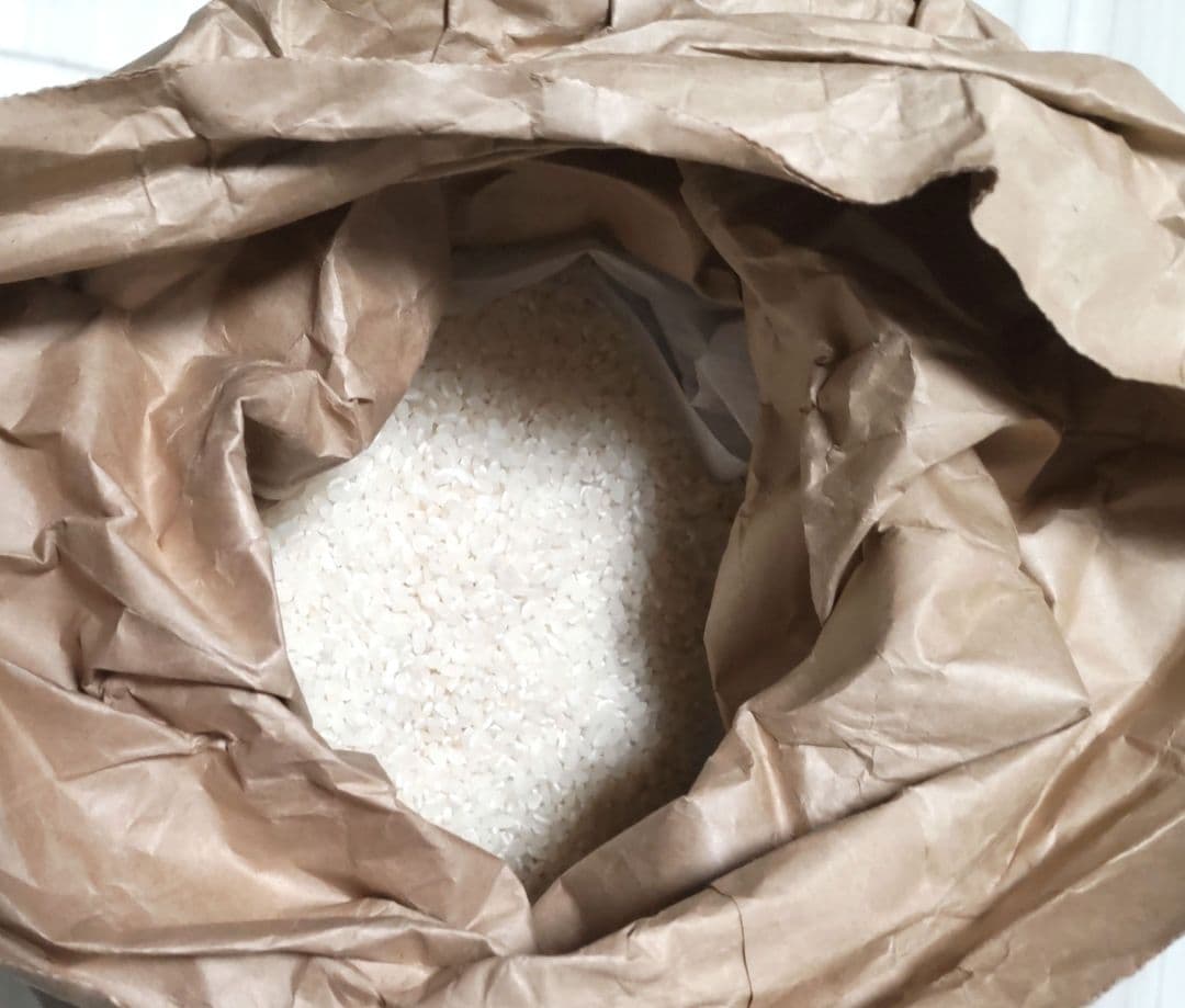 早い者勝ち 令和7年産 大量 15kg 白米 熊本県 無洗米 5袋 セット 限定