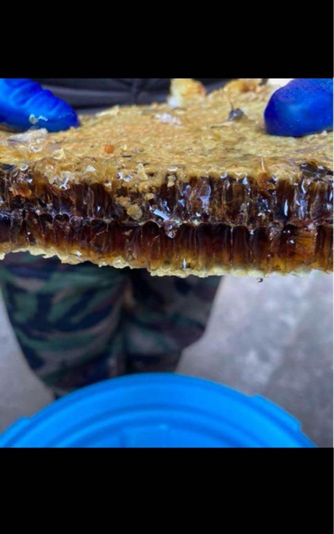 ニホンミツバチ　百花蜜　2,350結晶化