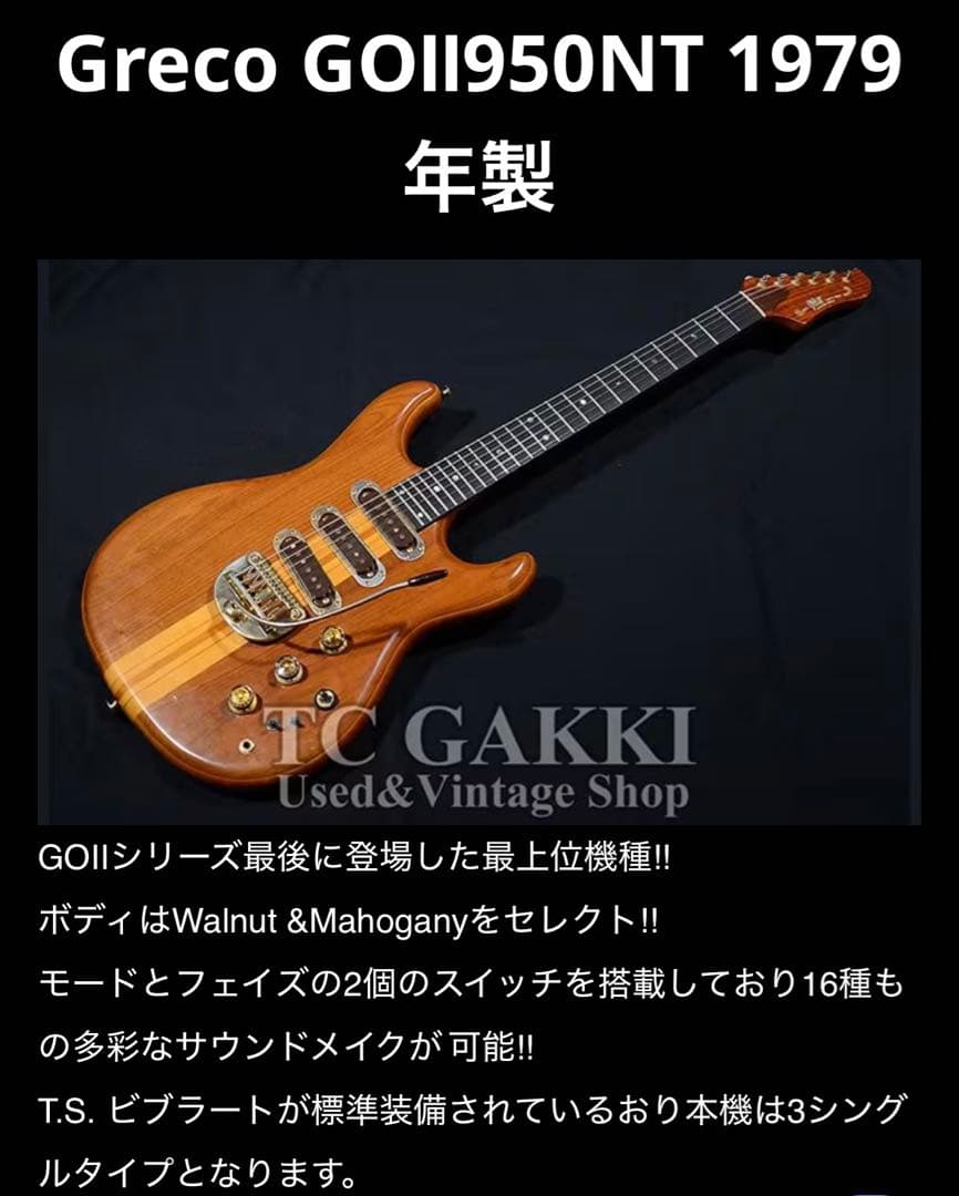 超貴重 奇跡の保管状態 グレコGreco goⅡ 950NT