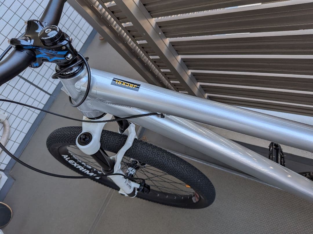 Santa Cruz Jackal　ジャッカル　2020シルバー