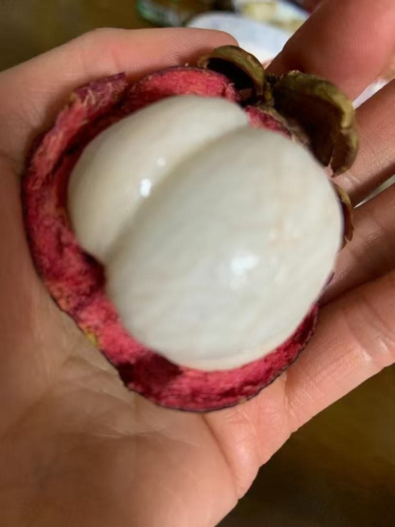 マンゴースチン2kg