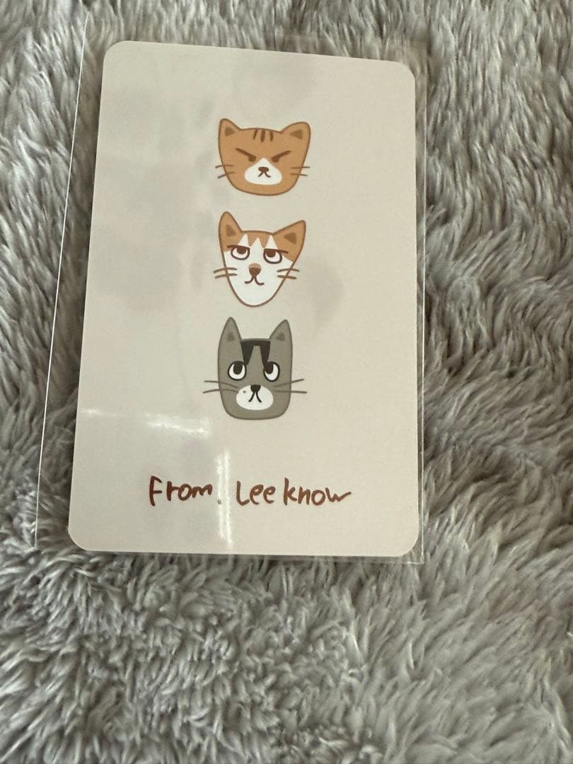 Stray kids リノ スンドゥンドリ　未開封　メンプロ