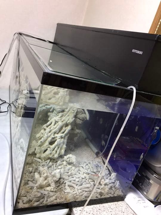 ボーナス軽大水槽Set120×45×45 コトブキ浄化槽 サンゴ 大型魚 アカメ