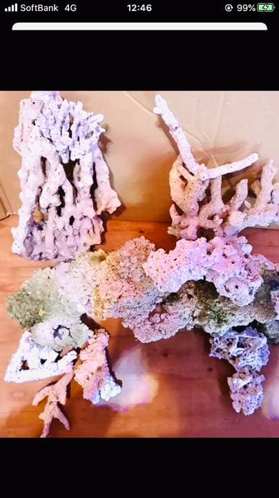 ボーナス軽大水槽Set120×45×45 コトブキ浄化槽 サンゴ 大型魚 アカメ